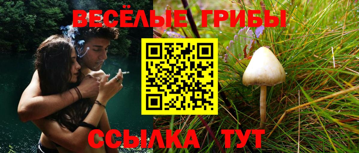 Улан-Удэ  Галлюциногенные грибы Psilocybine cubensis  купить закладку  Вход с VPN 